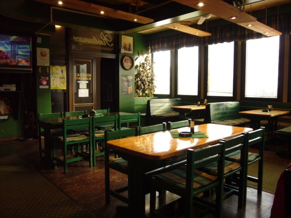 Restaurace a pivnice Žába - interiér